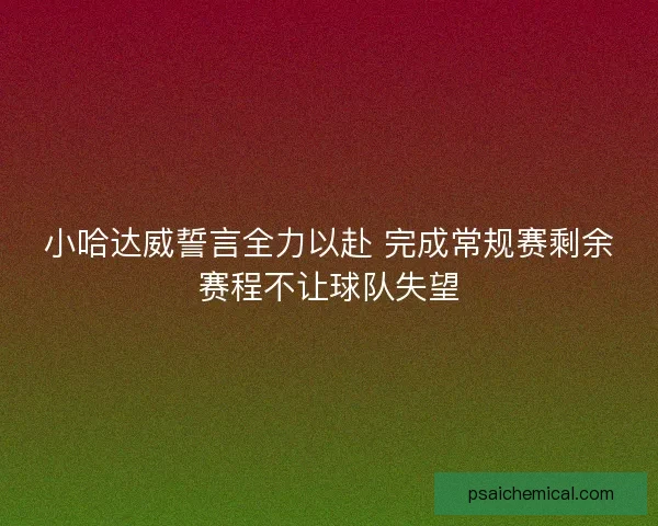 小哈达威誓言全力以赴 完成常规赛剩余赛程不让球队失望