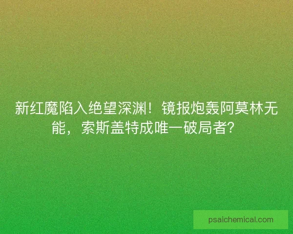 新红魔陷入绝望深渊！镜报炮轰阿莫林无能，索斯盖特成唯一破局者？