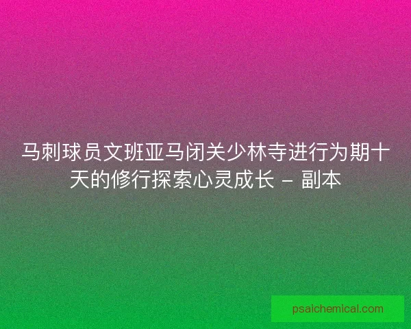 马刺球员文班亚马闭关少林寺进行为期十天的修行探索心灵成长 - 副本