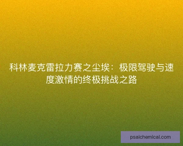 科林麦克雷拉力赛之尘埃：极限驾驶与速度激情的终极挑战之路