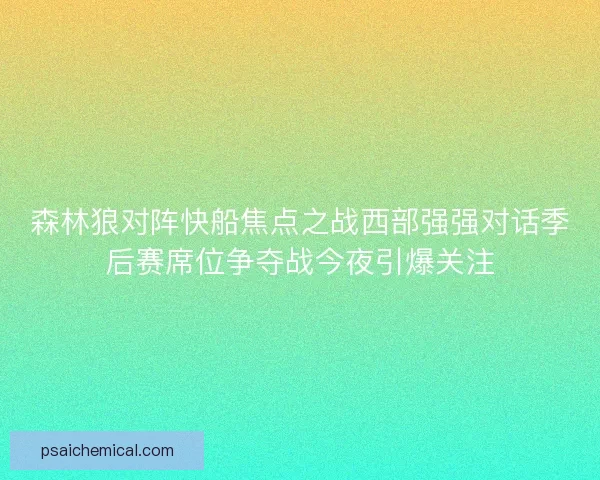 森林狼对阵快船焦点之战西部强强对话季后赛席位争夺战今夜引爆关注
