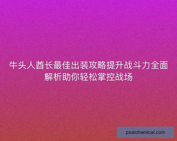牛头人酋长最佳出装攻略提升战斗力全面解析助你轻松掌控战场