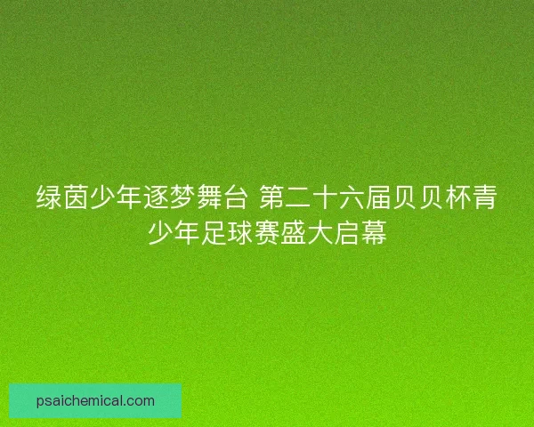 绿茵少年逐梦舞台 第二十六届贝贝杯青少年足球赛盛大启幕
