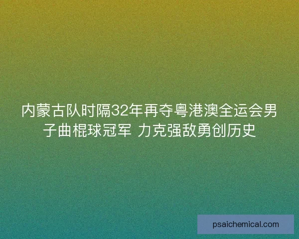 内蒙古队时隔32年再夺粤港澳全运会男子曲棍球冠军 力克强敌勇创历史