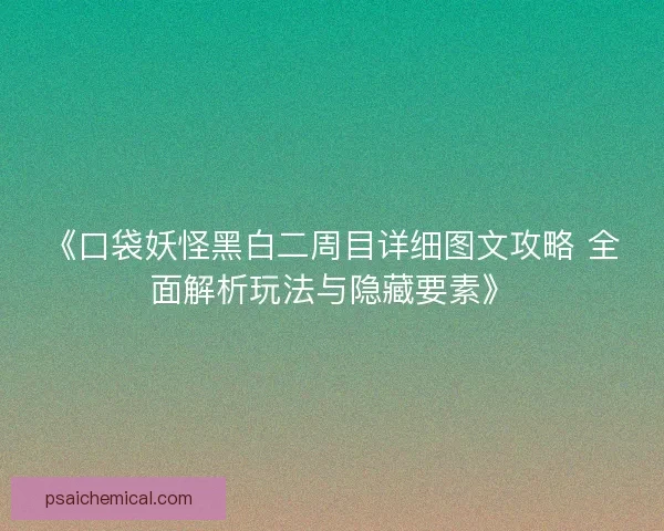 《口袋妖怪黑白二周目详细图文攻略 全面解析玩法与隐藏要素》